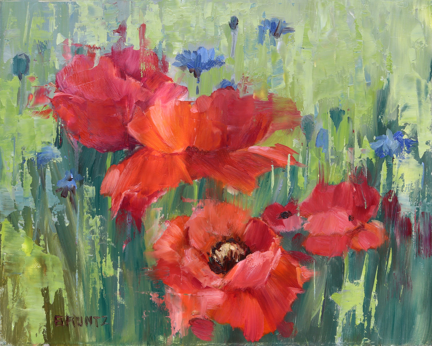 Poppy Field