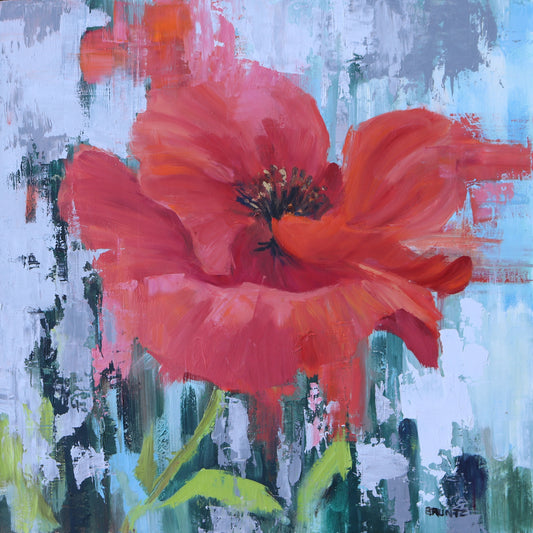 Red Poppy Bloom