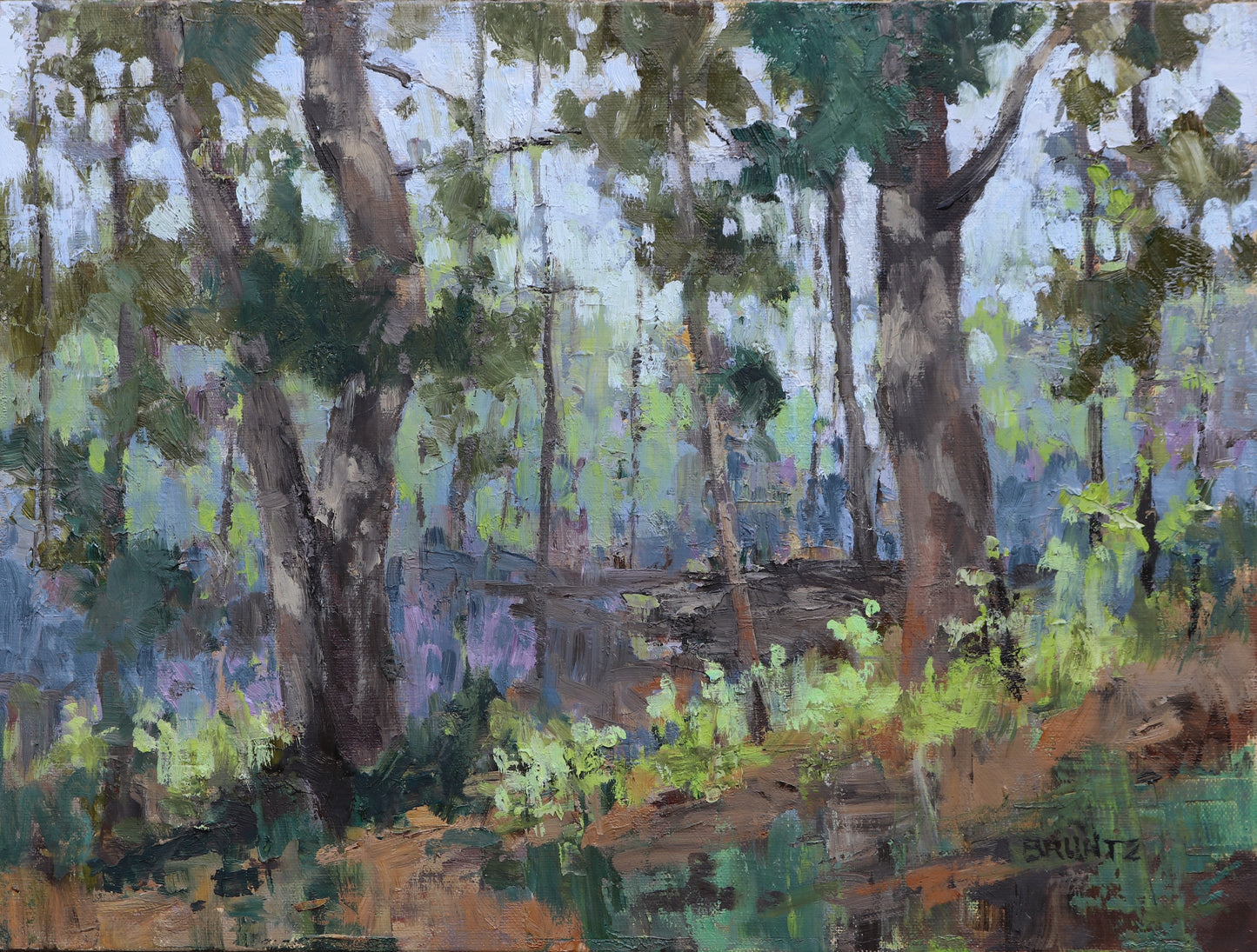 Wooded View