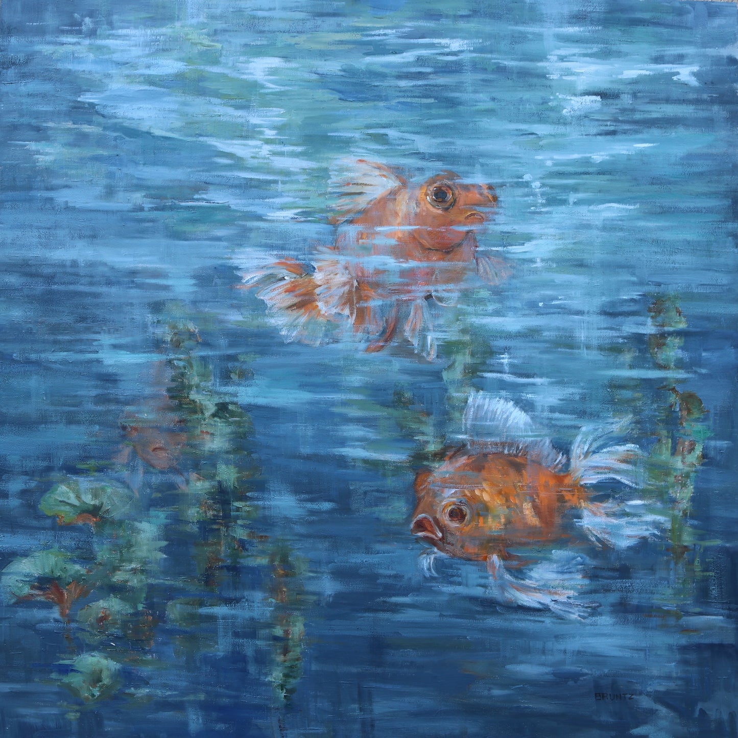 Fancy Goldfish