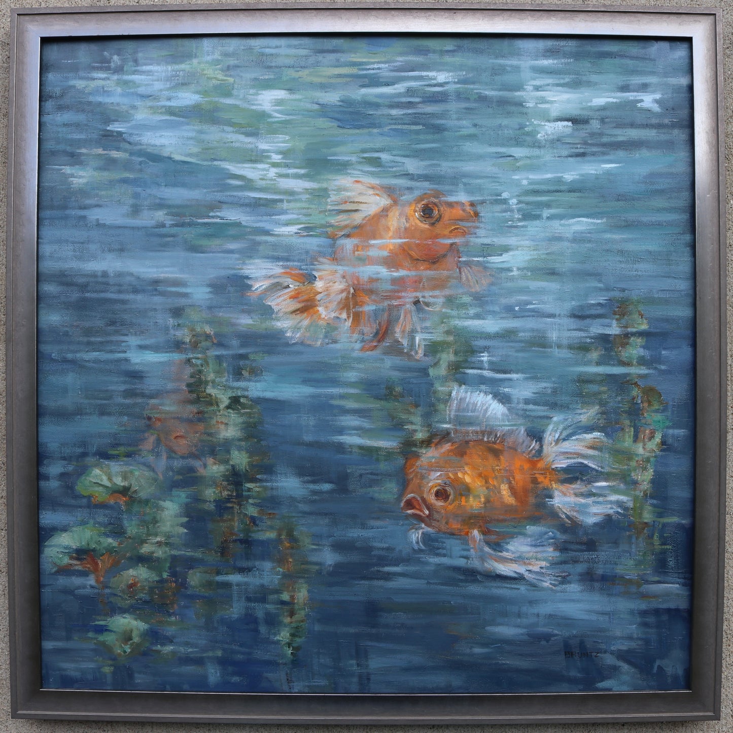 Fancy Goldfish