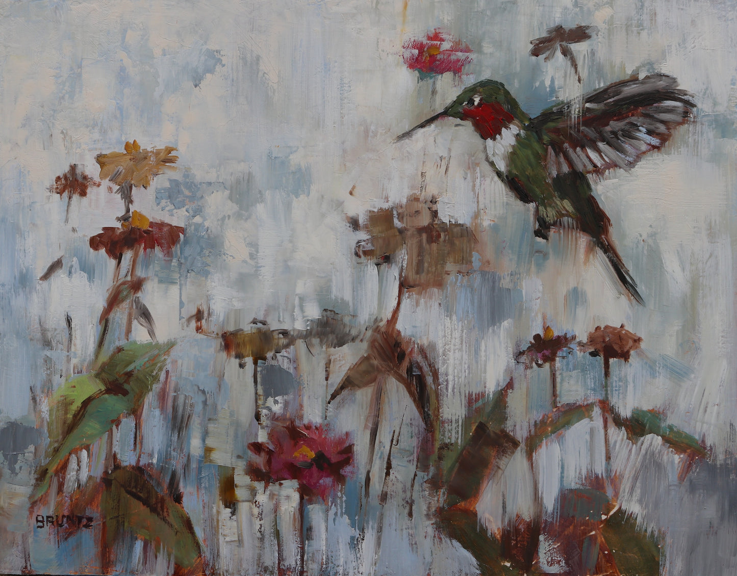 Flight of the Hummingbird