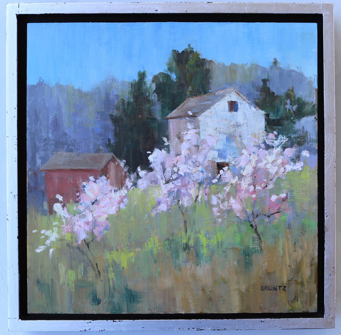 Orchard Overlook