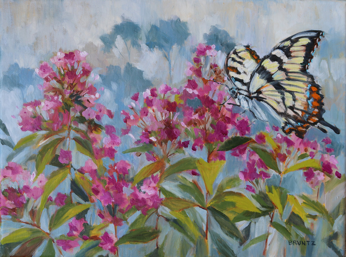 Phlox and the Butterfly